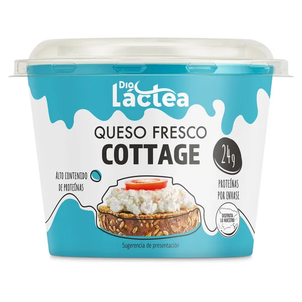 Queso fresco cottage Dia Láctea 200 g 2