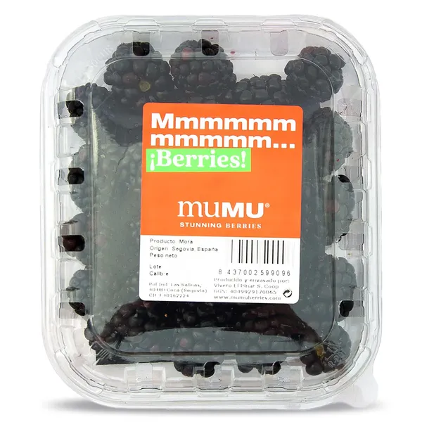 Moras tarrina 125 g 2