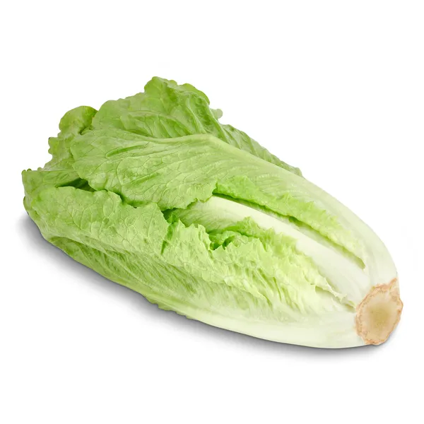 Corazón de lechuga romana unidad 3