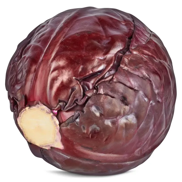 Lombarda 2.5 Kg aprox. 2