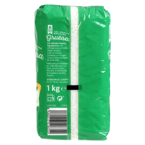 Sal gruesa Dia 1 Kg 3
