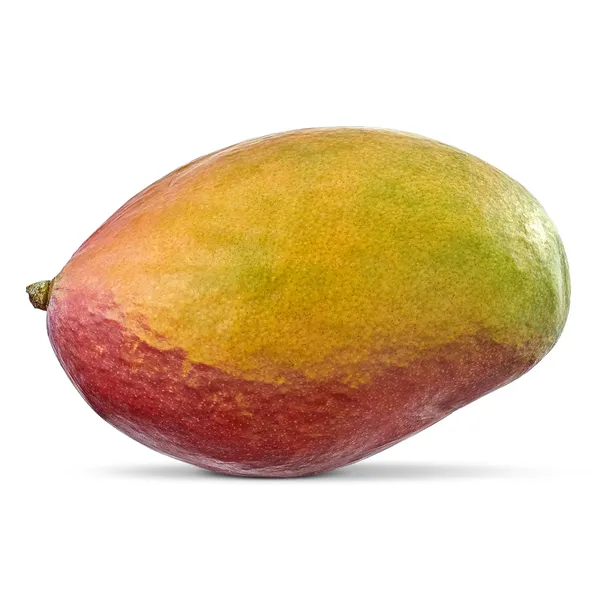 Mango unidad 2