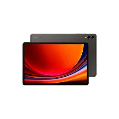 Samsung Galaxy Tab S9 256Gb Wi-Fi 256 Gb