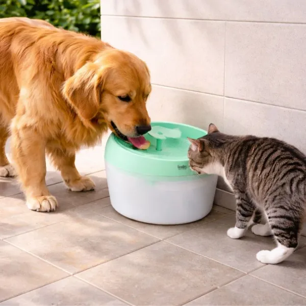 Leeby Fuente de Agua Verde para perros y gatos