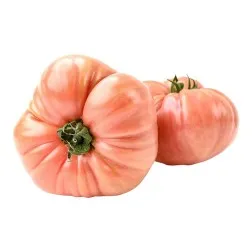 Tomate rosa 1.5 kg 2
