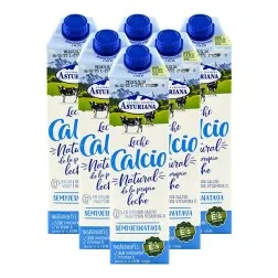 Leche semidesnatada con calcio Asturiana 1 litro pack 6 bricks 2
