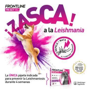 Frontline Tri-Act Solucion Spot-On para Perros caja con 3 pipetas - 40 - 60 kg 5