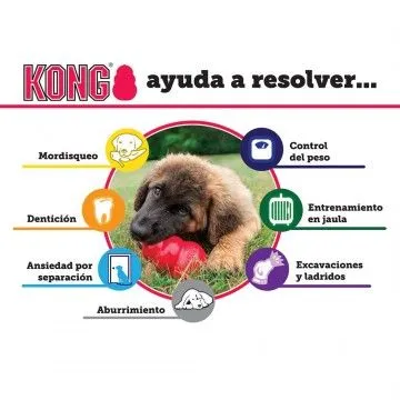 KONG Classic Red 5