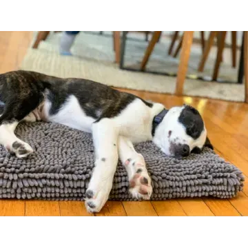DGS Dirty Dog Colchoneta Absorbente Gris 6