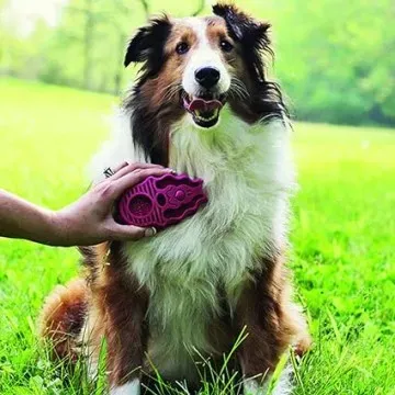 KONG Cepillo de Goma Perros Zoom Groom 4