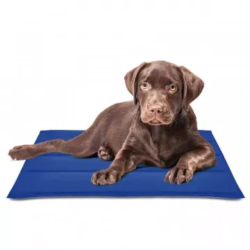 Nayeco Manta Refrigerante Cool Mat Gel Azul 2