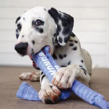 KONG Signature Crunch Rope Puppy 4