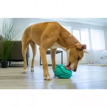 KONG Licks Rewards 6