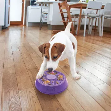 KONG Licks Spinz 5