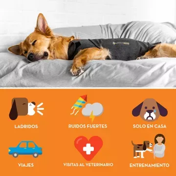 ThunderShirt Chaleco Relajante Para Perros 3
