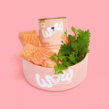 Wow Lata de Salmón con Tomates para Perros - 400 gr 3