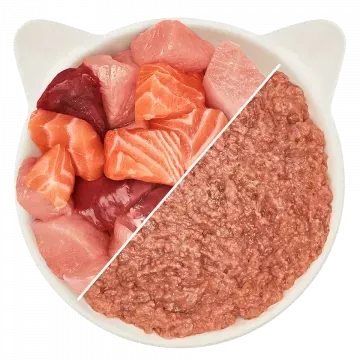 Wow Pate en Sobre de Pollo Y Salmon para Gatos - 125 gr 3