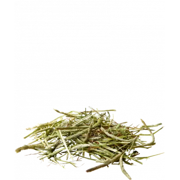 Versele-Laga Nature Timothy Heno Para Roedores - 1 Kg 3