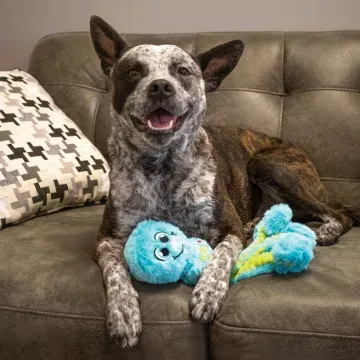 KONG Juguete mordedor para perros Wubba Octopus 5