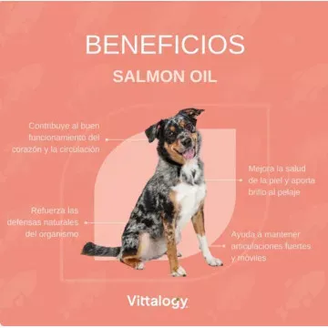 Vittalogy Aceite de Salmón para Perros y Gatos 4