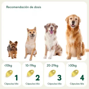 Wild Balance PERLAS OMEGA 3 para perros y gatos 6