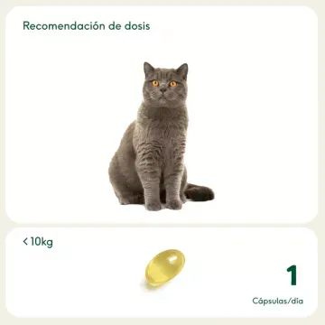 Wild Balance PERLAS OMEGA 3 para perros y gatos 7
