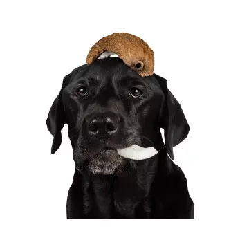 Tippy Taps Snack de Coco para Perros - 100 gr 6
