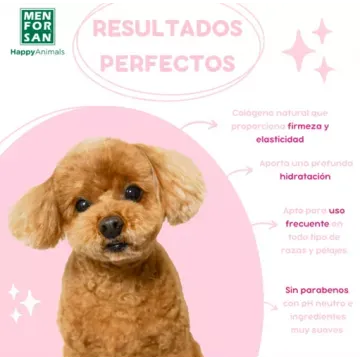 Menforsan Champú Acondicionador Antinudos 6