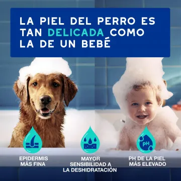 Douxo Spa Spray Multiacción Antiolor para Perros 4