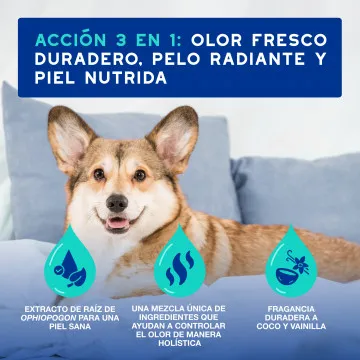 Douxo Spa Spray Multiacción Antiolor para Perros 3