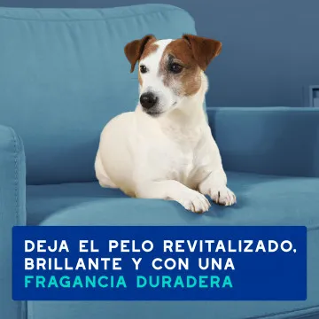 Douxo Spa Spray Multiacción Antiolor para Perros 8