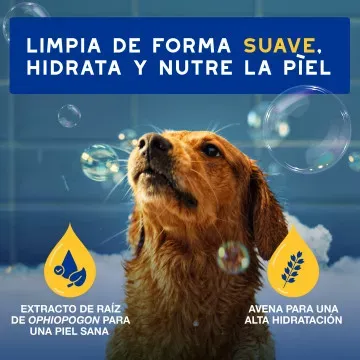Douxo Spa Champú de Avena Hidratante para Perros 3