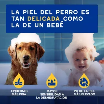 Douxo Spa Champú de Avena Hidratante para Perros 4
