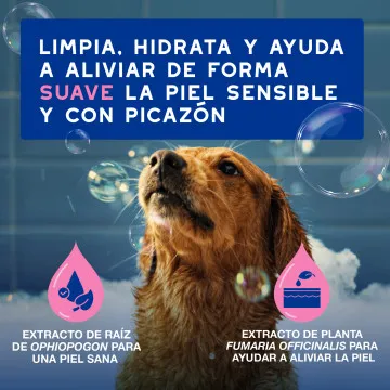 Douxo Spa Champú Alivia para Perros 3