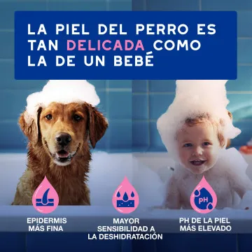 Douxo Spa Champú Alivia para Perros 4