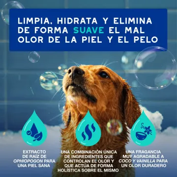 Douxo Spa Champú Antiolor para Perros 3
