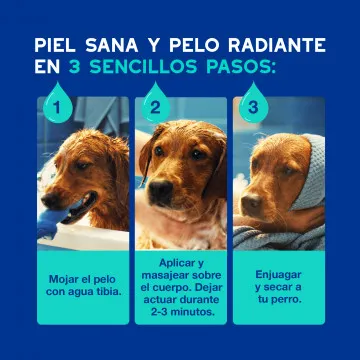 Douxo Spa Champú Antiolor para Perros 6