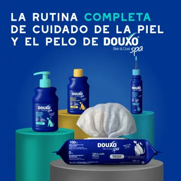 Douxo Spa Champú Antiolor para Perros 8