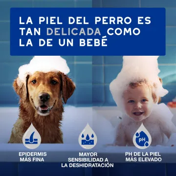 Douxo Spa Toallitas Multiuso para Perros y Gatos 3