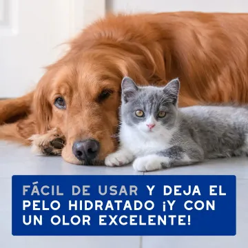 Douxo Spa Toallitas Multiuso para Perros y Gatos 6