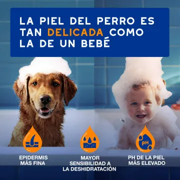 Douxo Spa Spray Desenredante para Perros 3