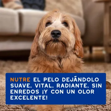 Douxo Spa Spray Desenredante para Perros 6