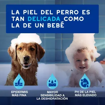Douxo Spa Limpiador Auricular para Perros y Gatos 4