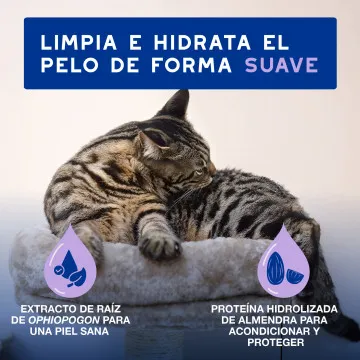 Douxo Spa Mousse de Limpieza sin Estrés para Gatos 3
