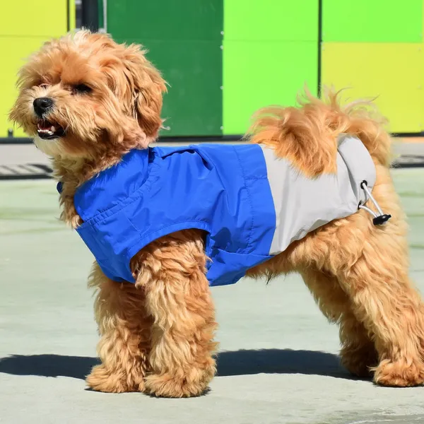 Nayeco X-TRM Chubasquero Azul y Gris para perros