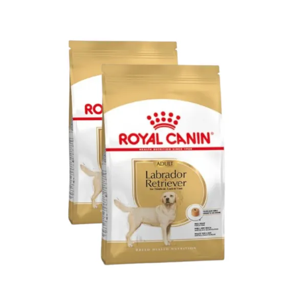 2 x 12 kg Royal Canin Adult Labrador Retriever pienso para perros ¡Pack ahorro!