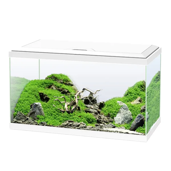 8.5 KG Ciano Aqua Led 60 Blanco acuario con luz led, filtro y calentador