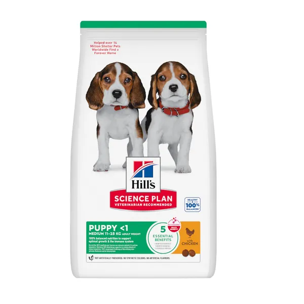 2.5 kg Hill's Science Plan Puppy Medium pollo pienso para perro
