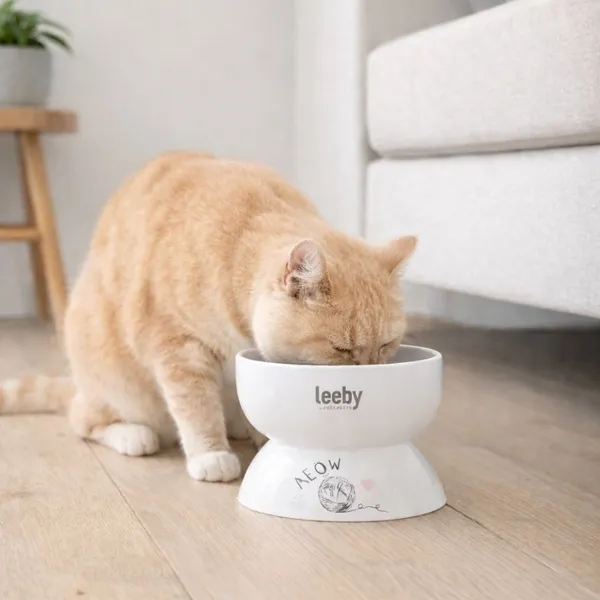 Leeby Comedero Elevado de Cerámica Blanco para gatos