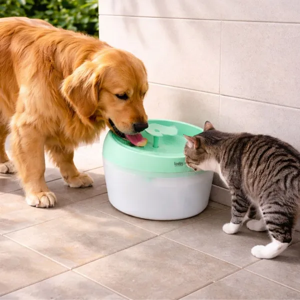 Leeby Fuente de Agua Verde para perros y gatos